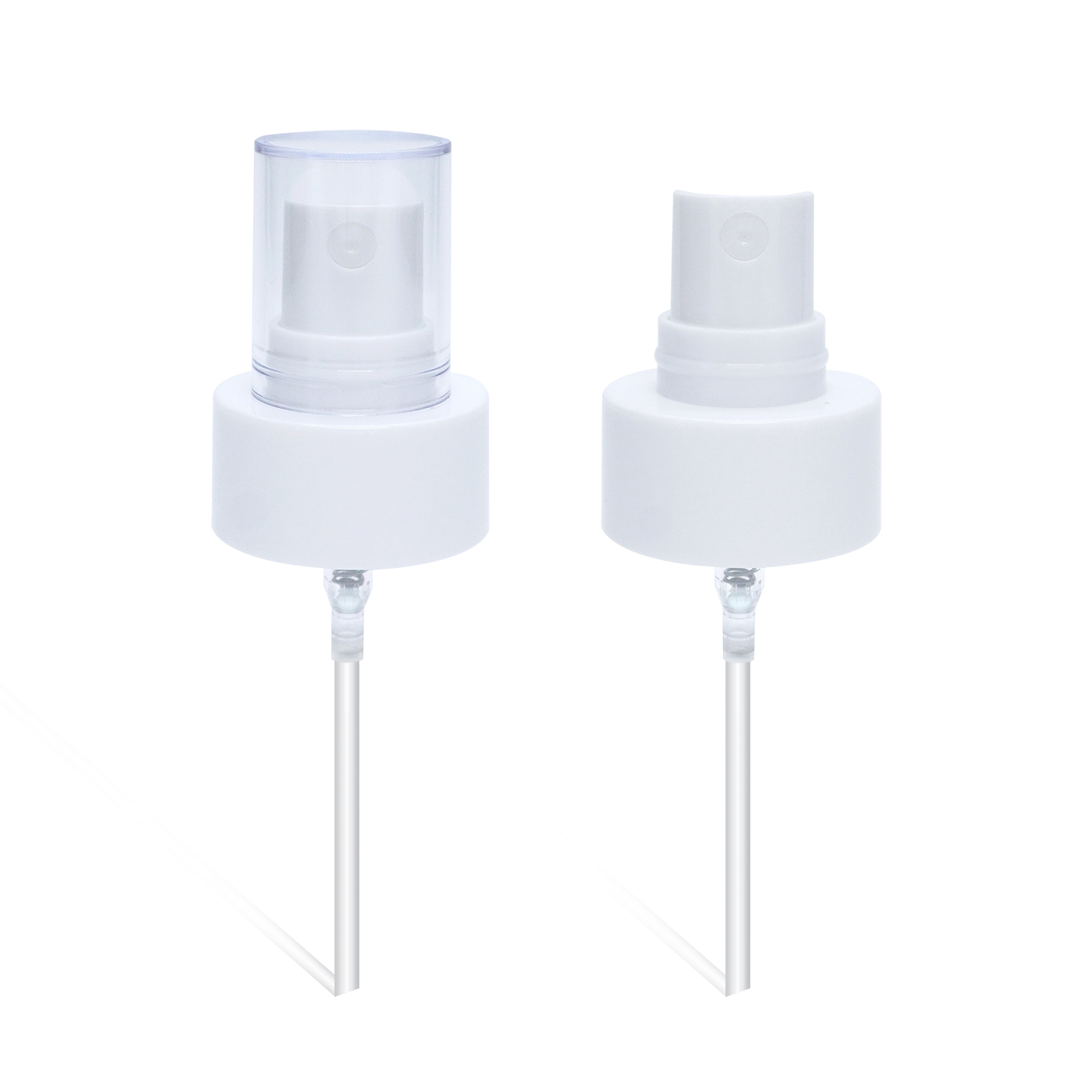 فاكهة البرتقال3